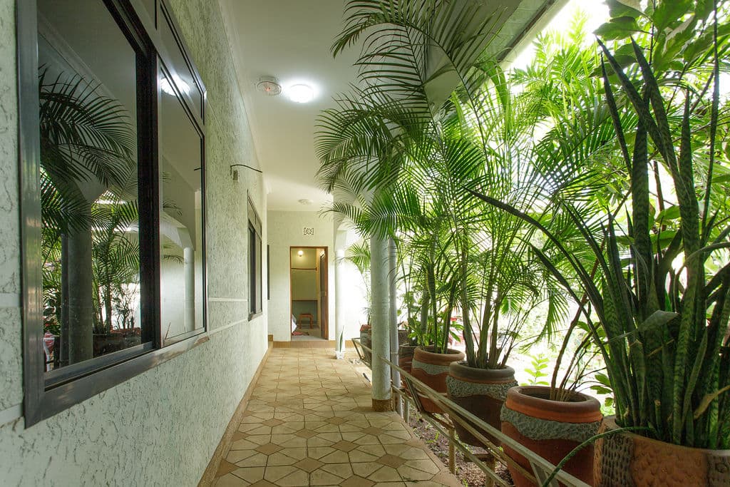 Veranda Walkway